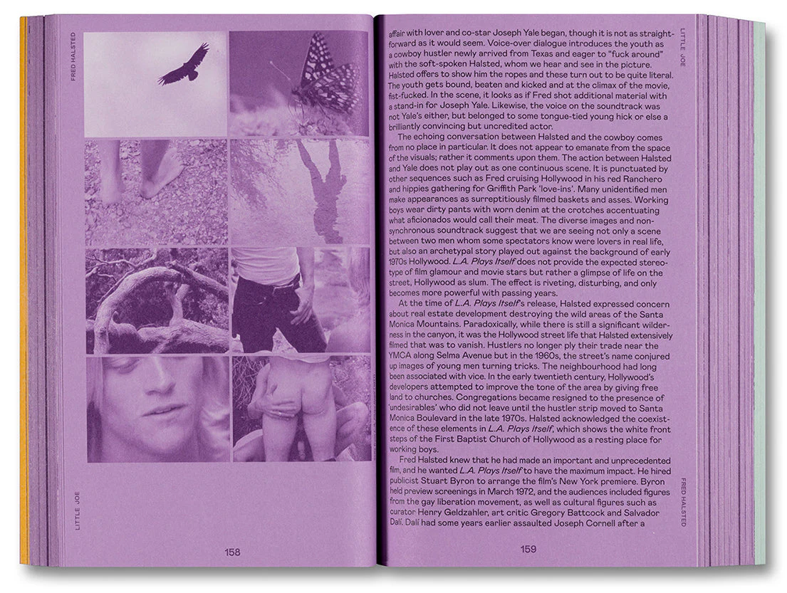 Little Joe: A book about queers and cinema, mostly - Image 18