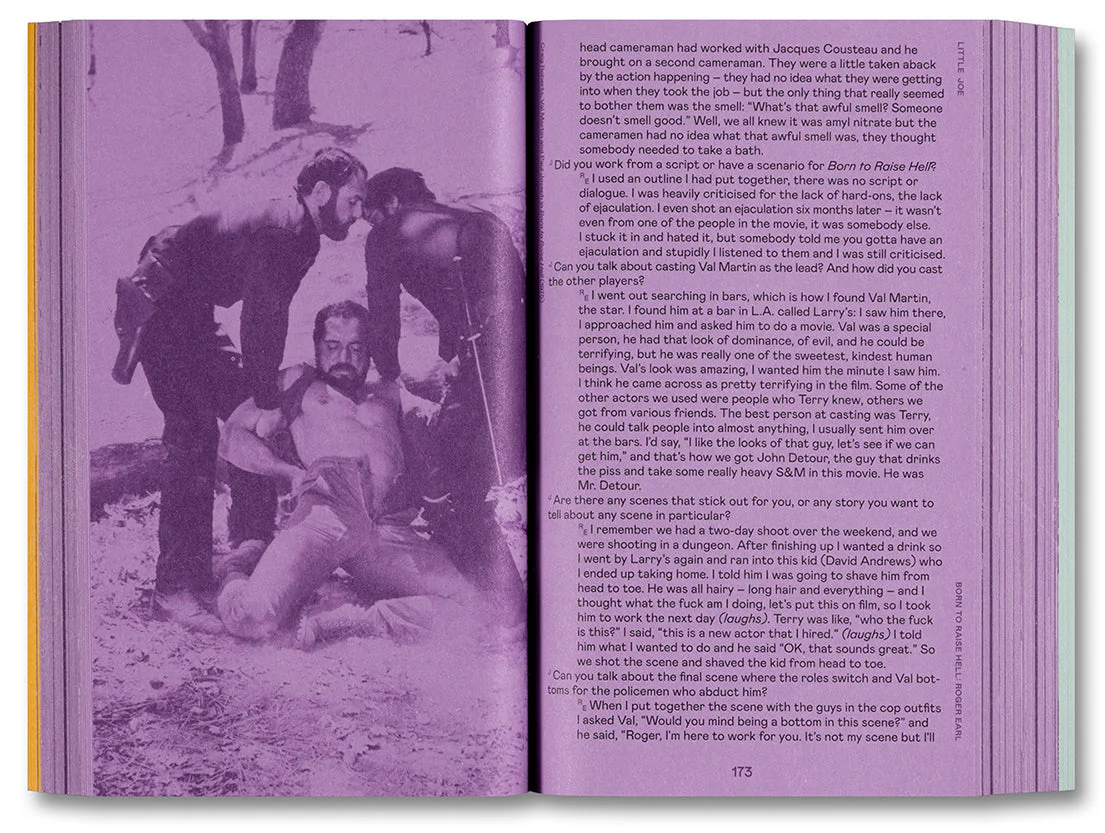 Little Joe: A book about queers and cinema, mostly - Image 20