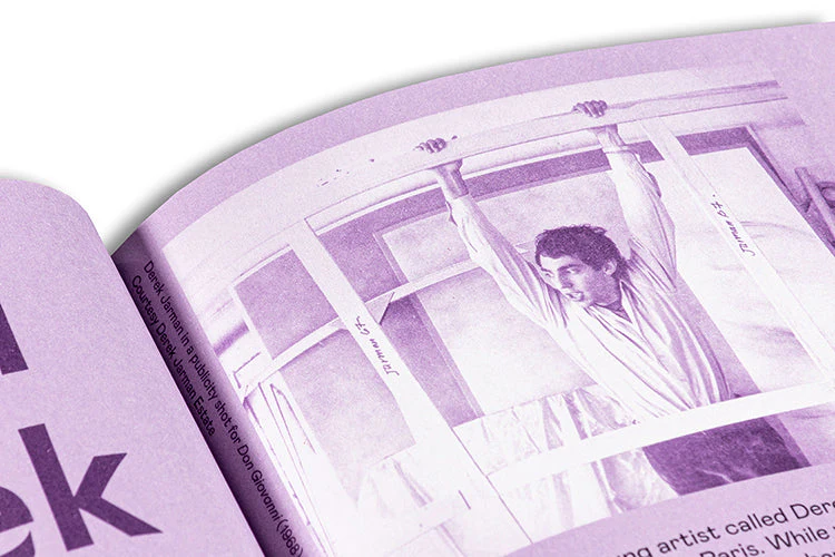 Little Joe: A book about queers and cinema, mostly - Image 30