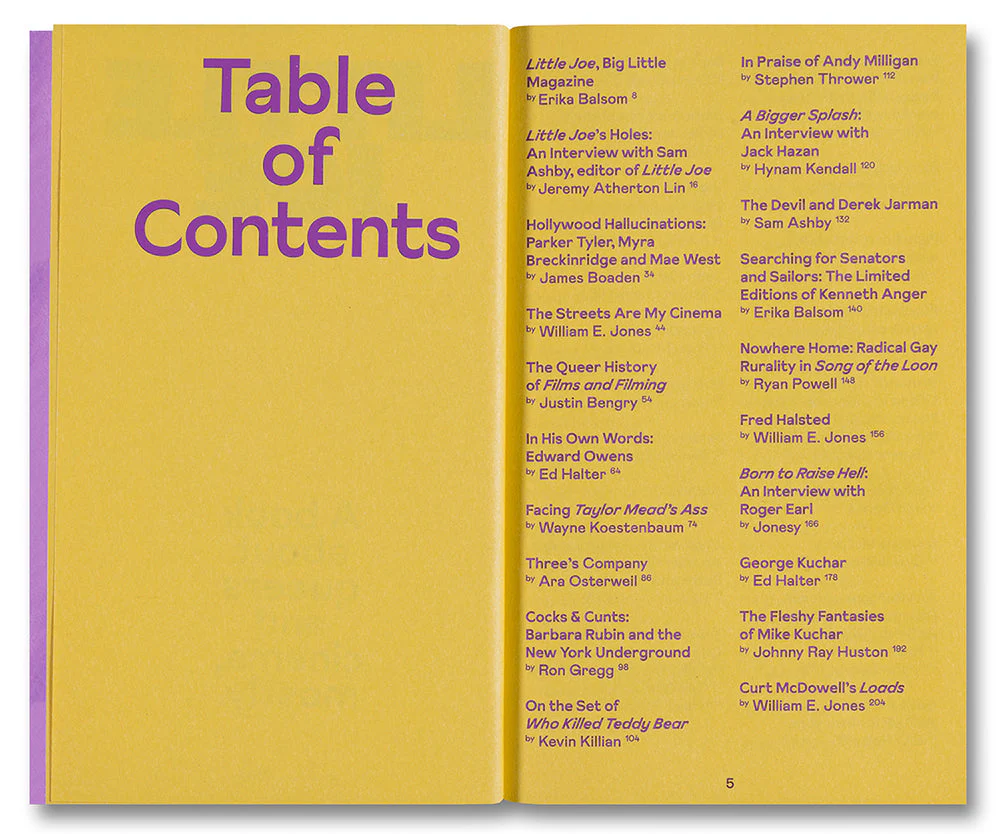 Little Joe: A book about queers and cinema, mostly - Image 4