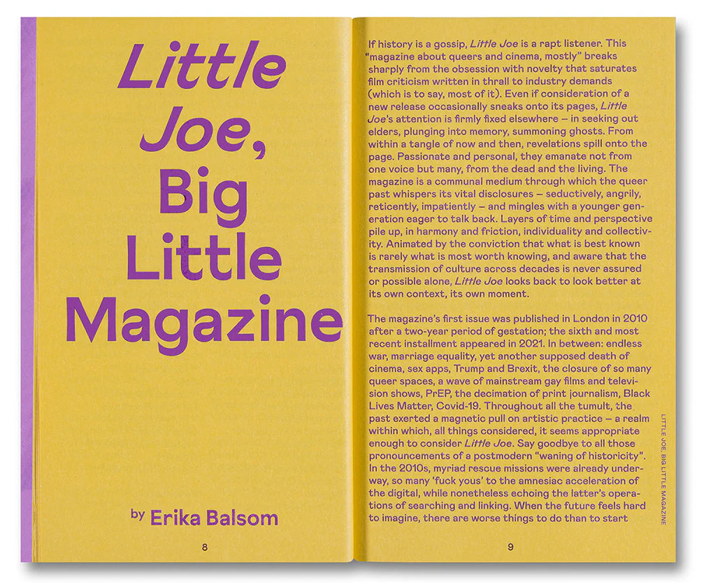 Little Joe: A book about queers and cinema, mostly - Image 5