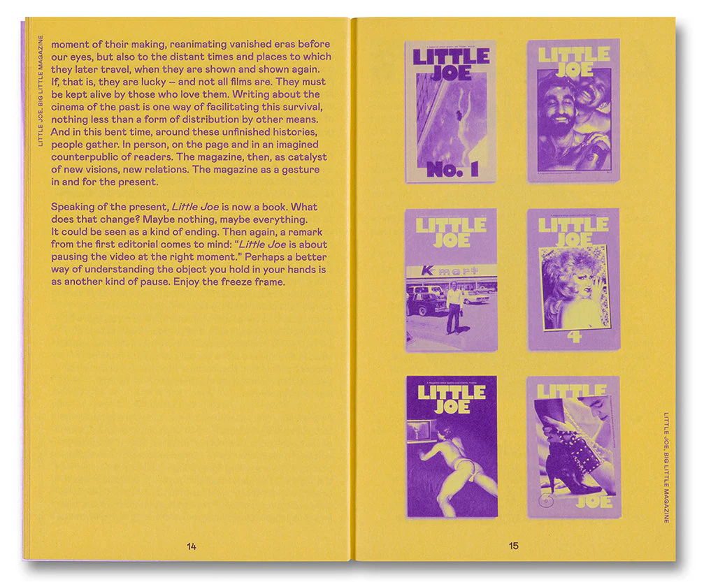 Little Joe: A book about queers and cinema, mostly - Image 6