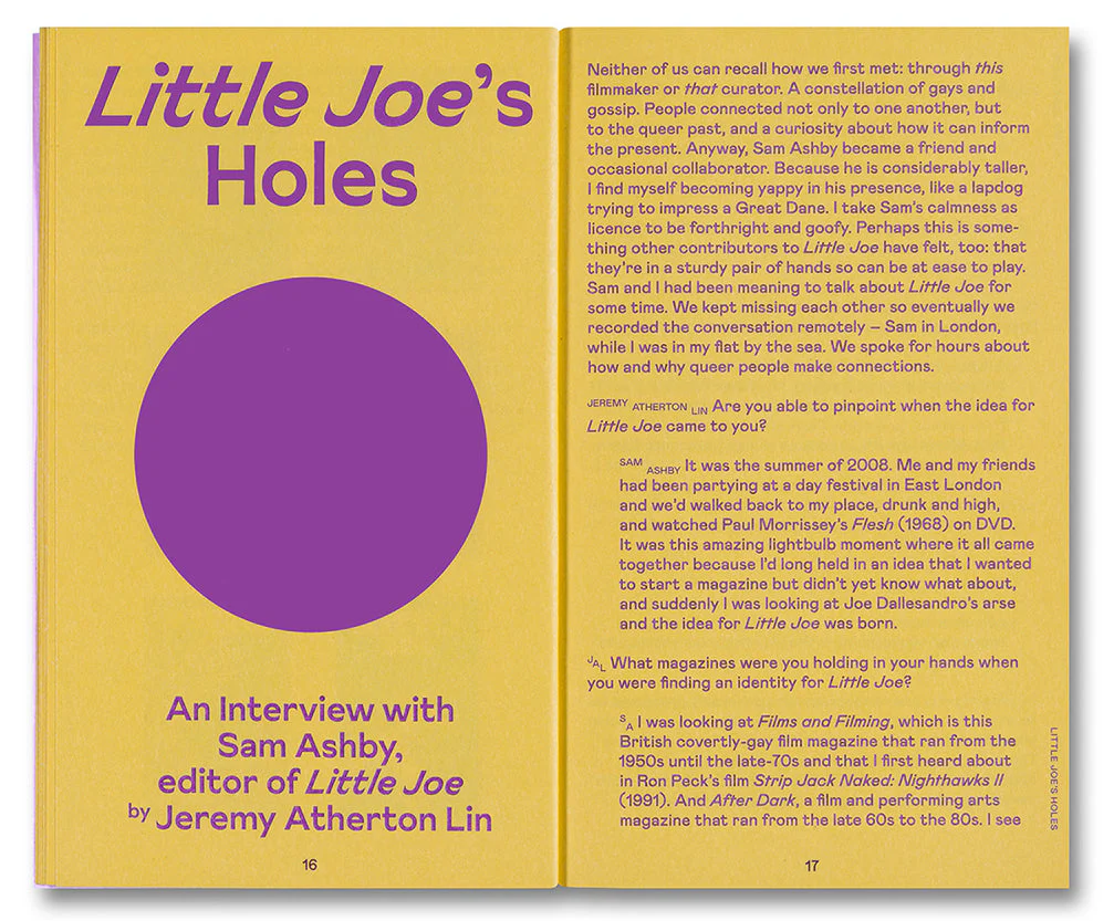 Little Joe: A book about queers and cinema, mostly - Image 7