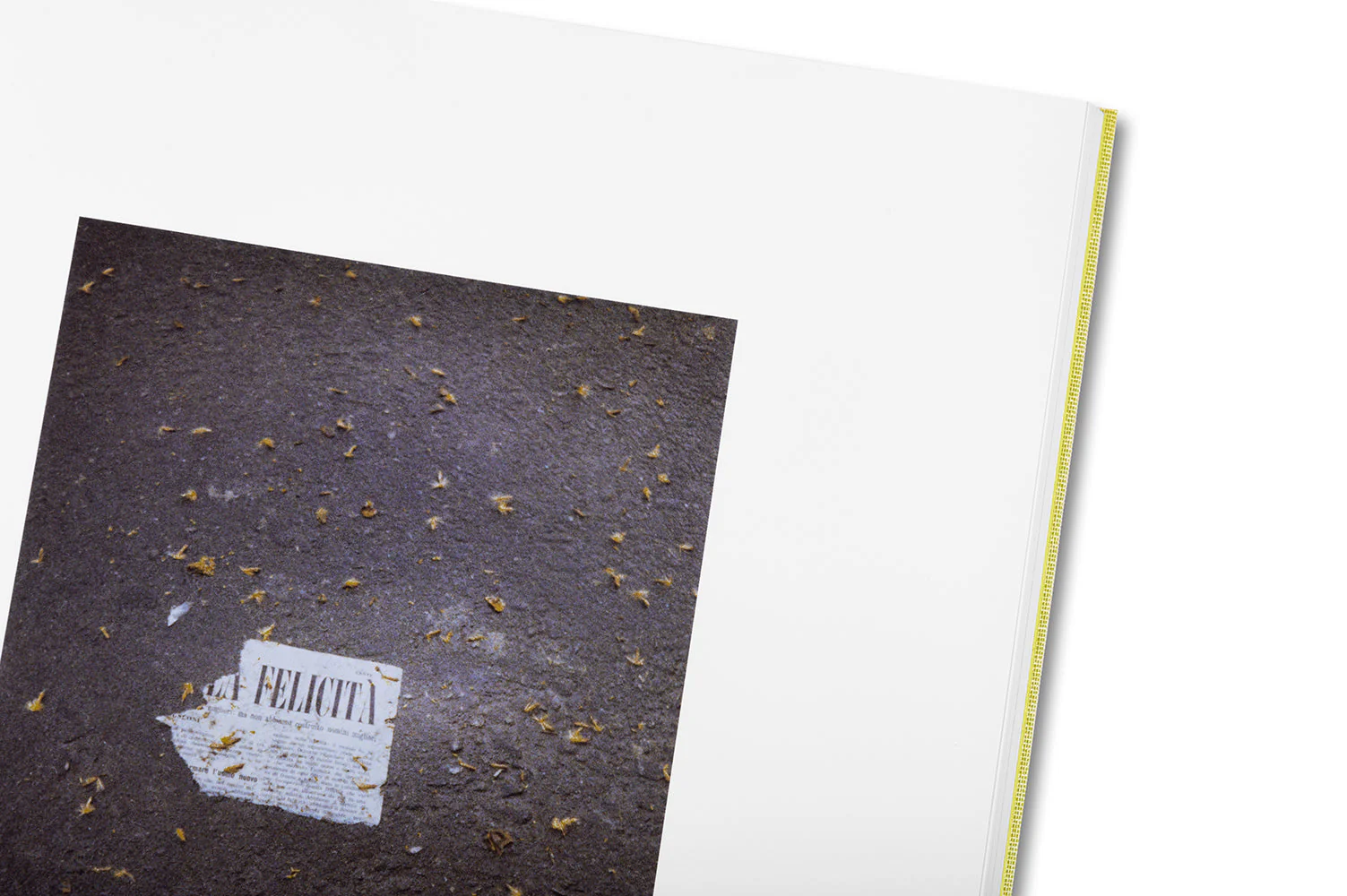 Luigi Ghirri Felicità - Image 34