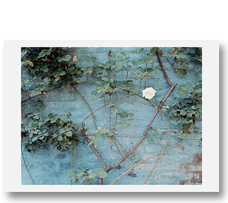 Luigi Ghirri Postcards - Image 7