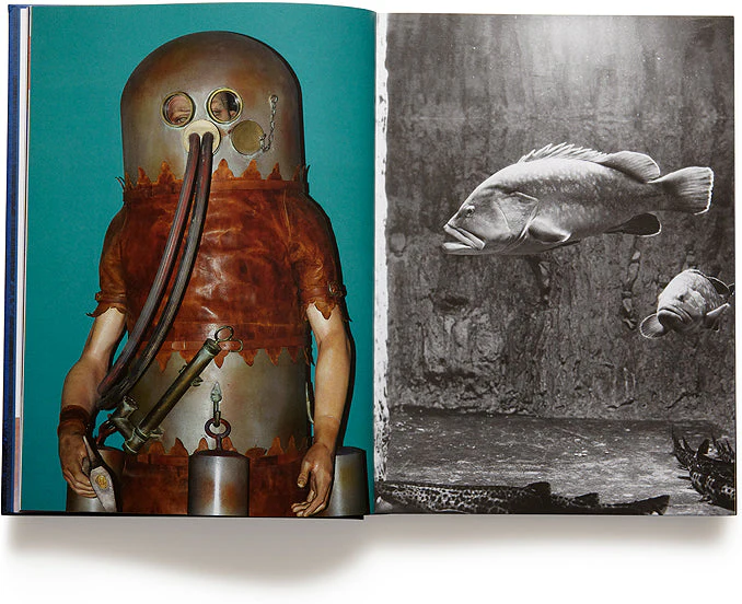 Oceanomania - Image 4