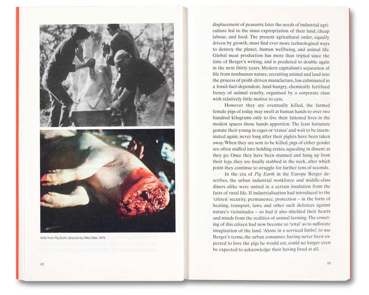 Meat Love: An Ideology of the Flesh - Image 10