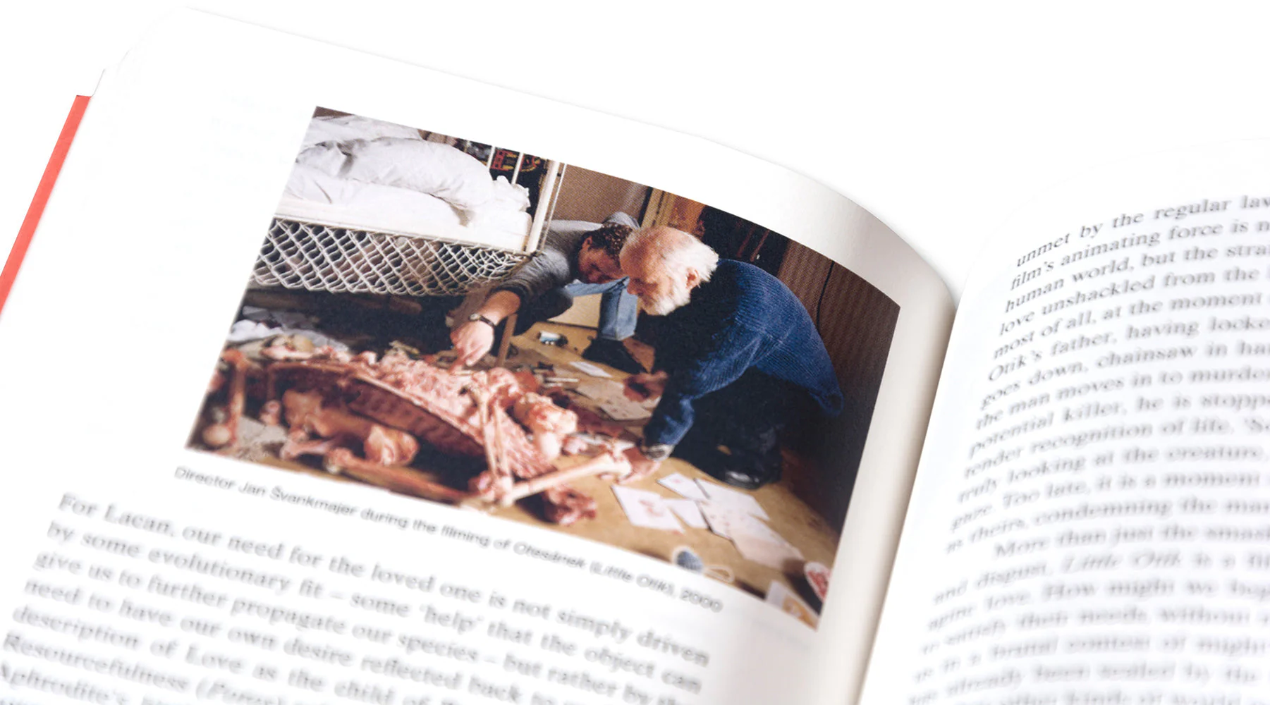 Meat Love: An Ideology of the Flesh - Image 27