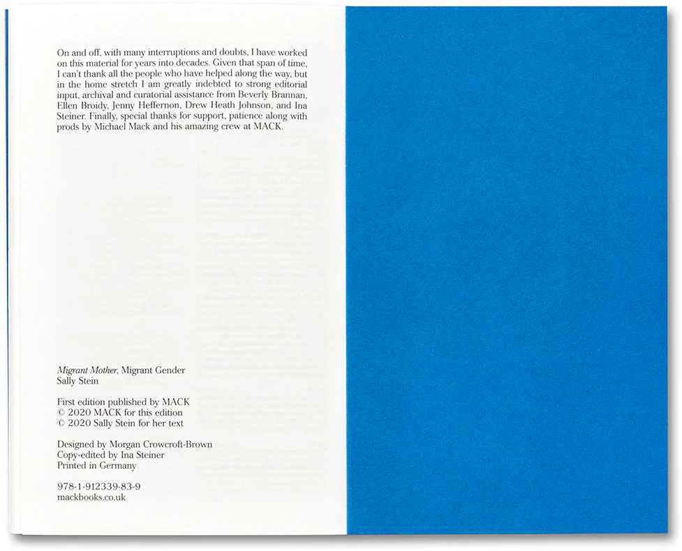 Migrant Mother, Migrant Gender - Image 28