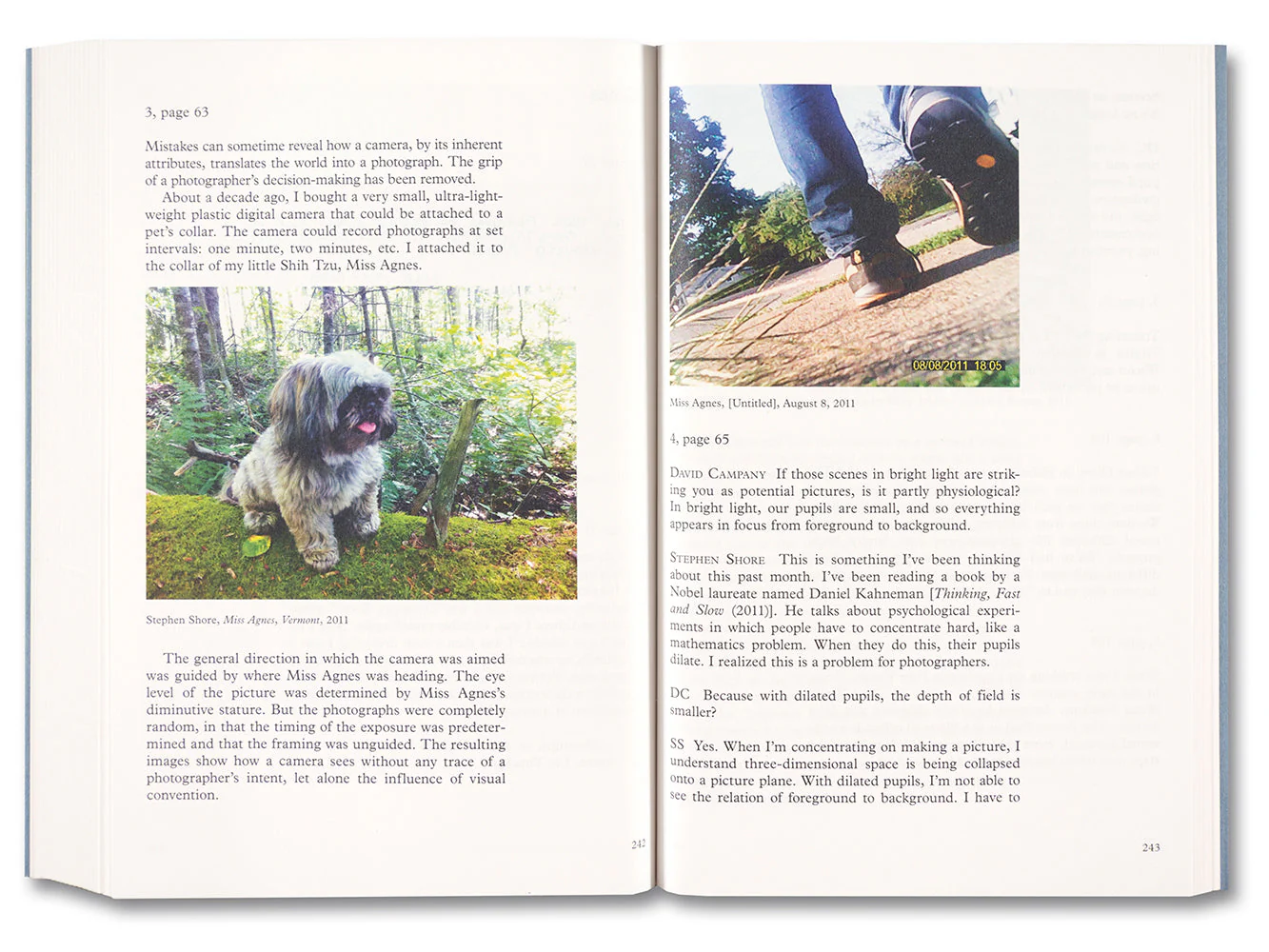 Modern Instances: The Craft of Photography (Expanded Edition) - Image 27