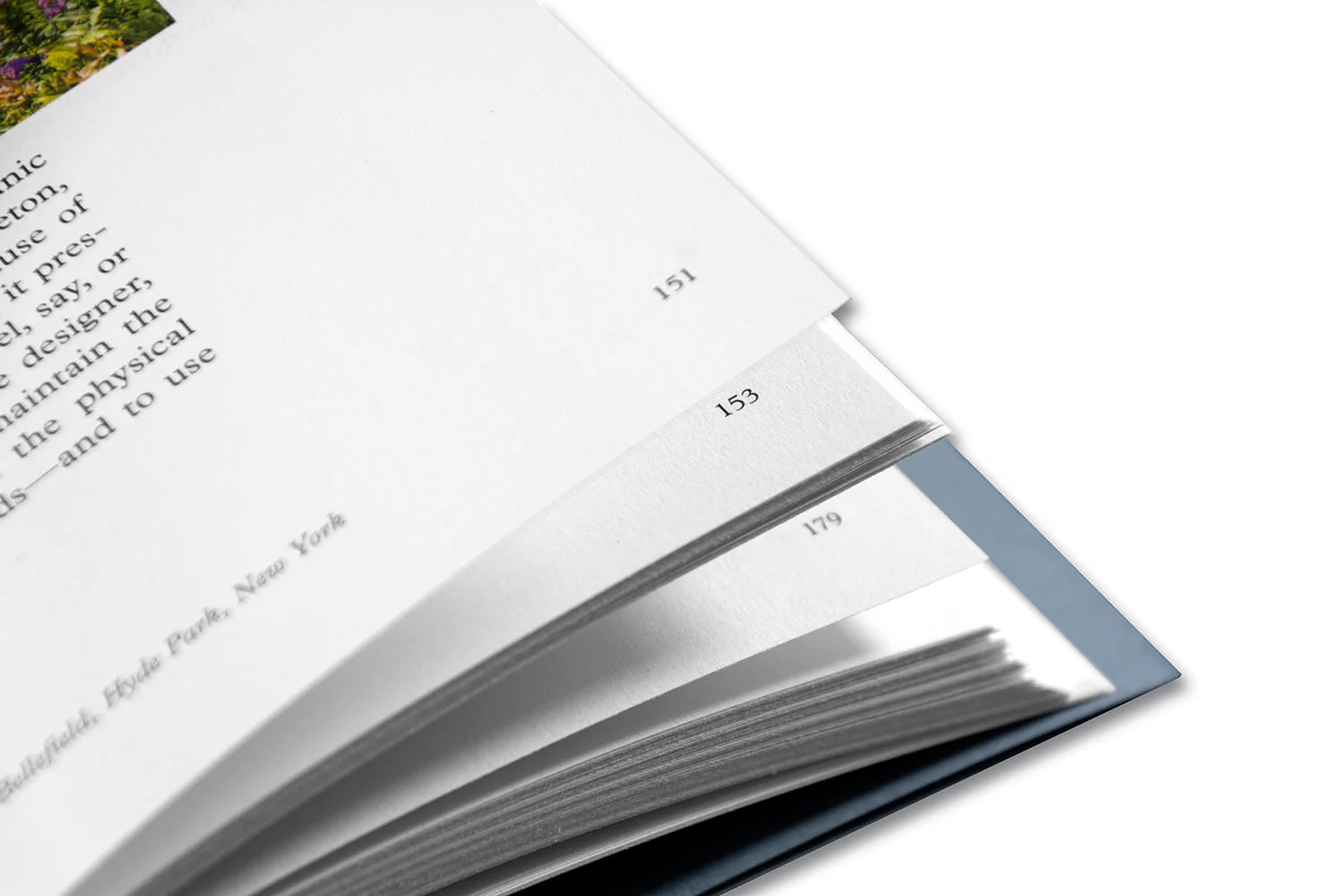 Modern Instances: The Craft of Photography (Expanded Edition) - Image 33