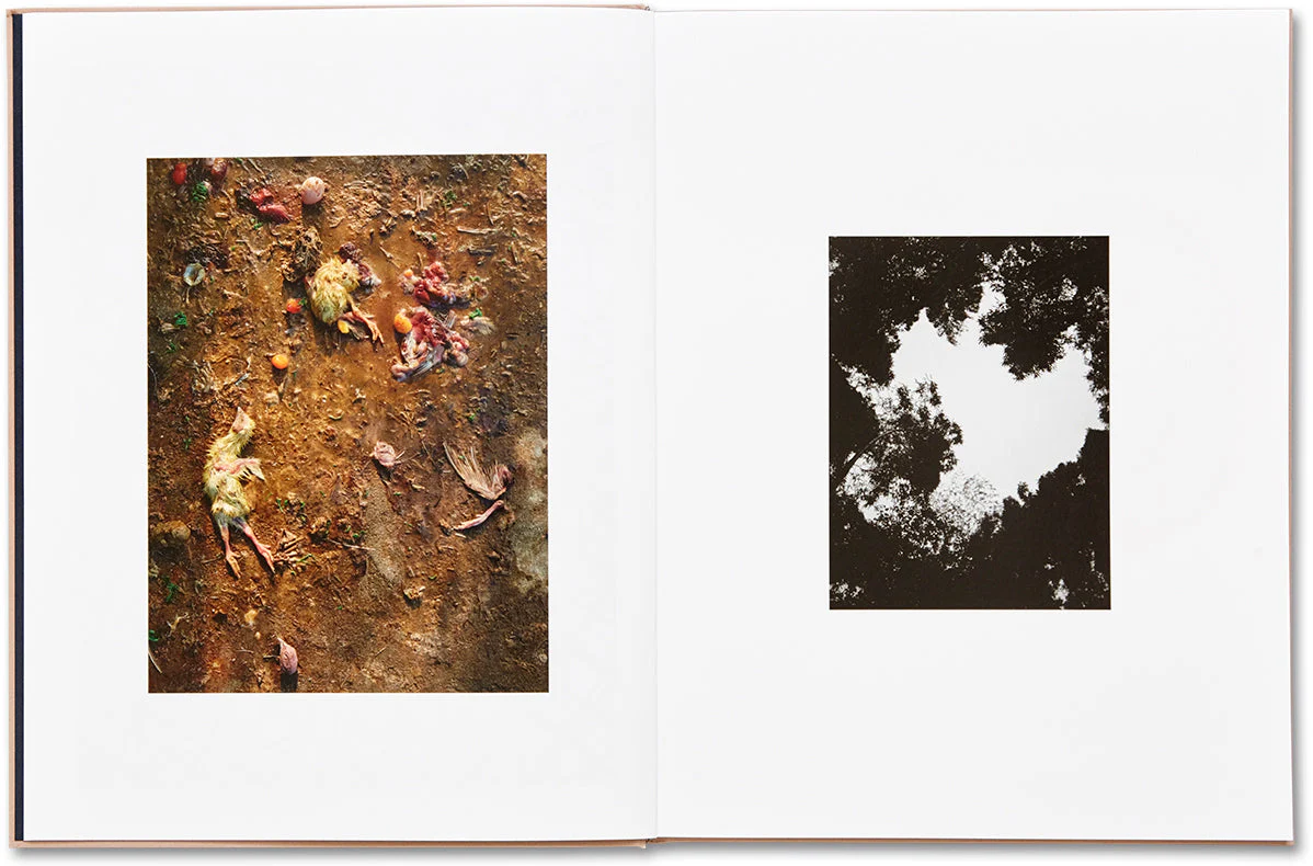 Murder - Image 5