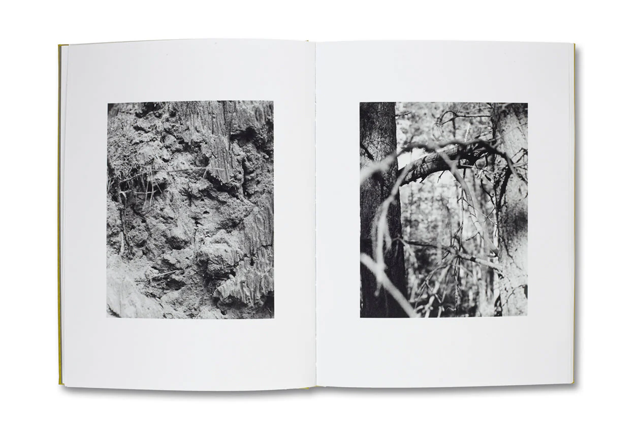 NATUR - Image 4
