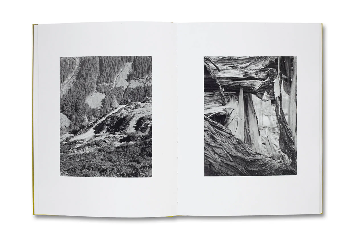 NATUR - Image 5