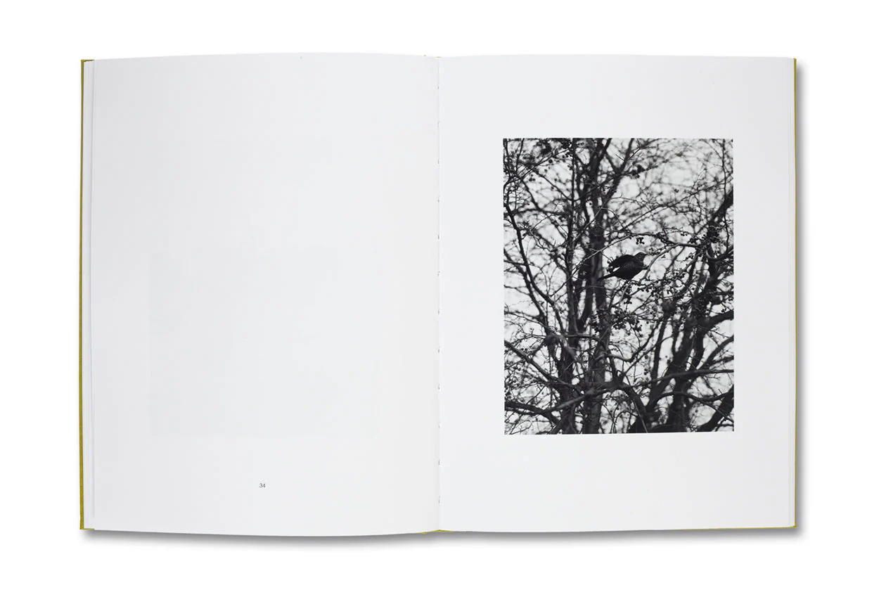 NATUR - Image 6