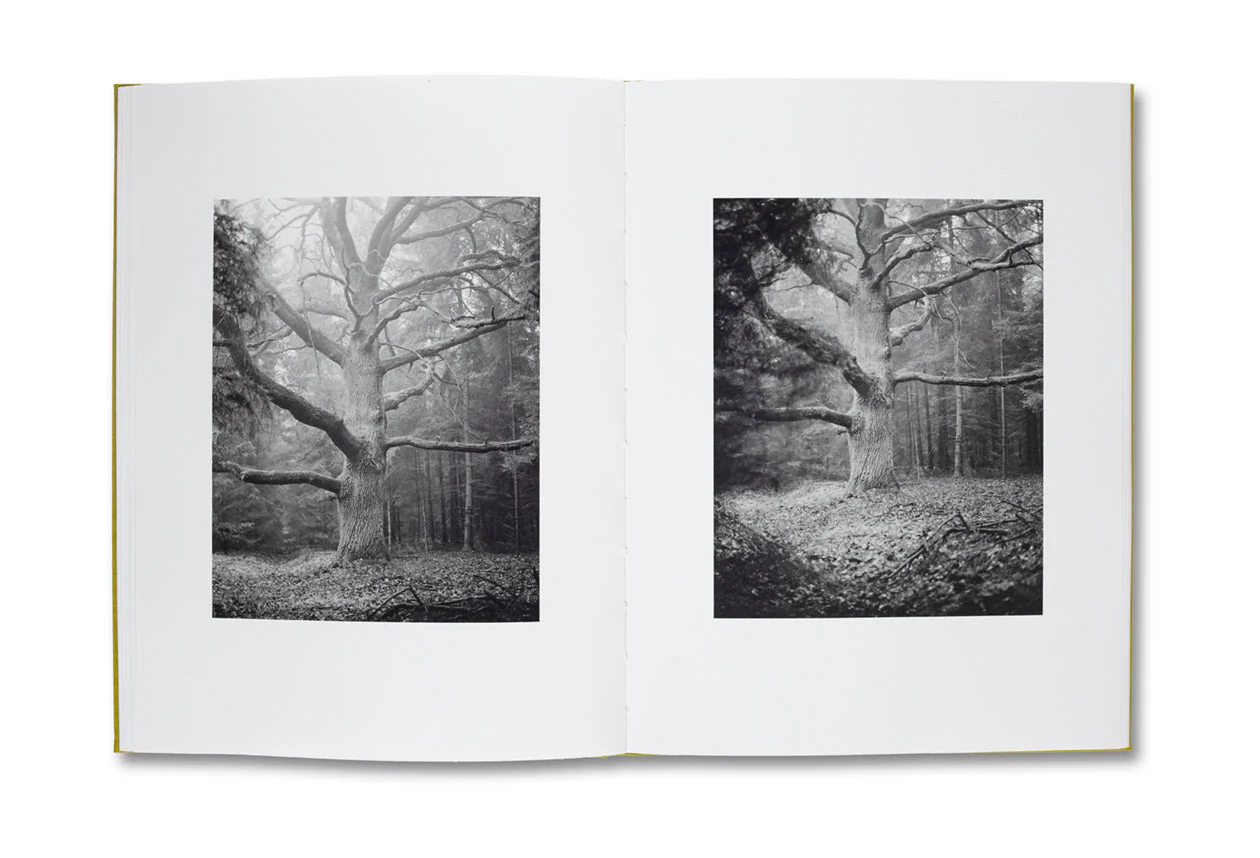 NATUR - Image 7