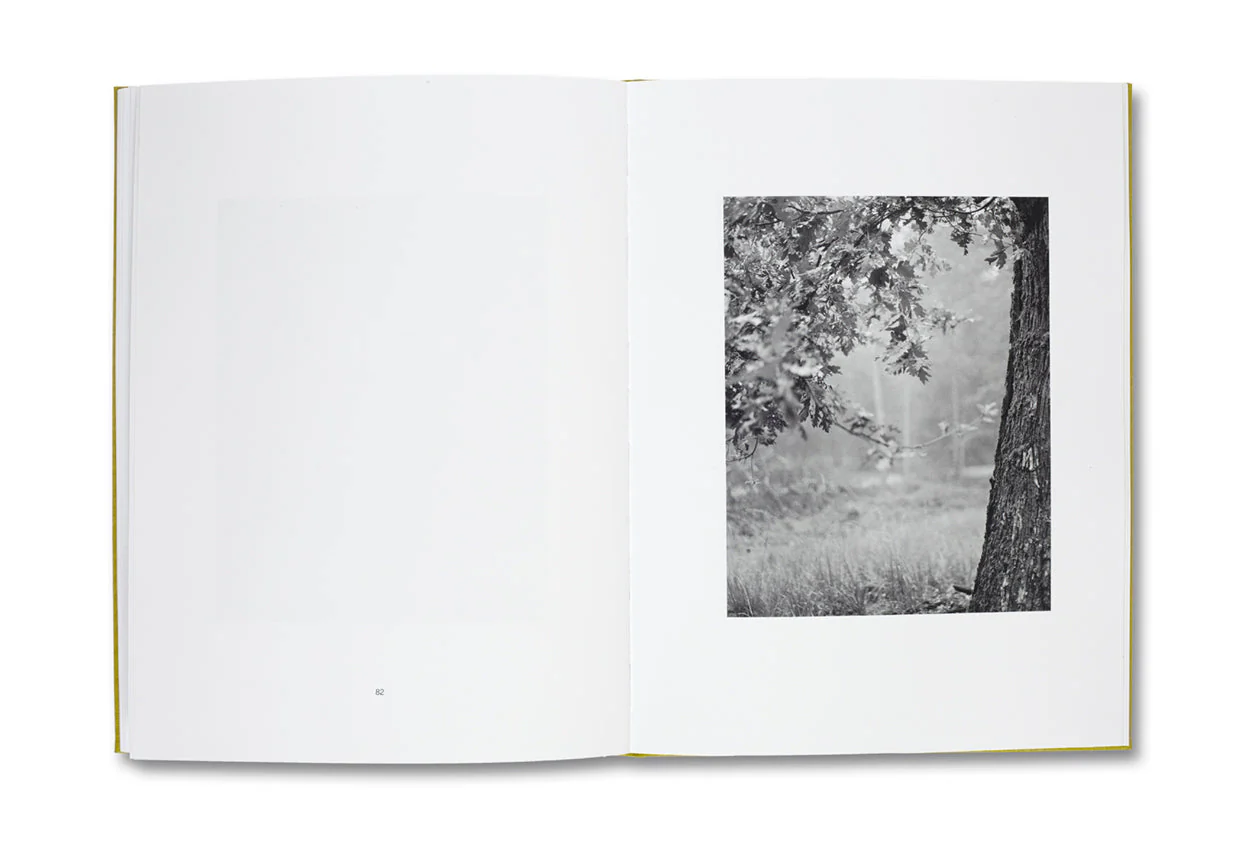 NATUR - Image 8