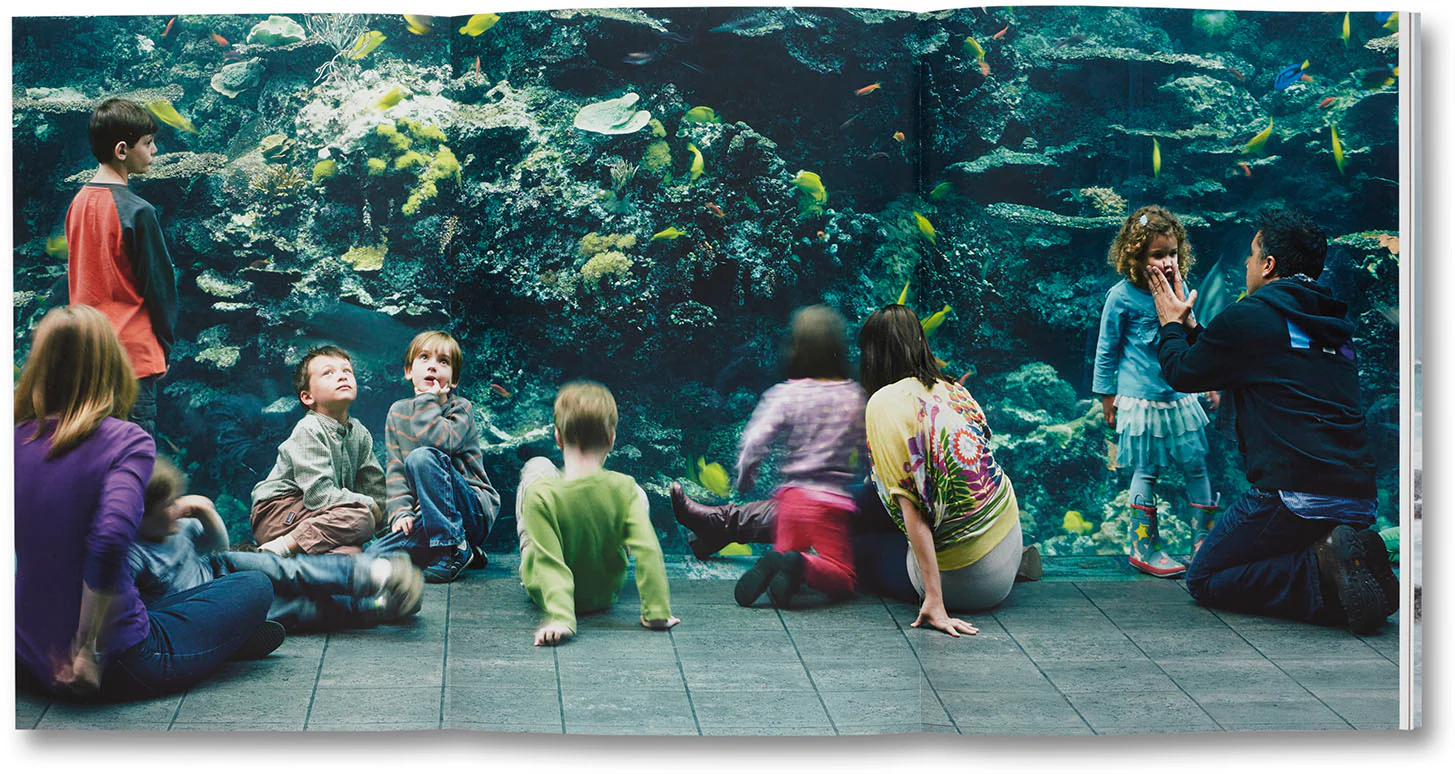 Nature & Politics - Image 30