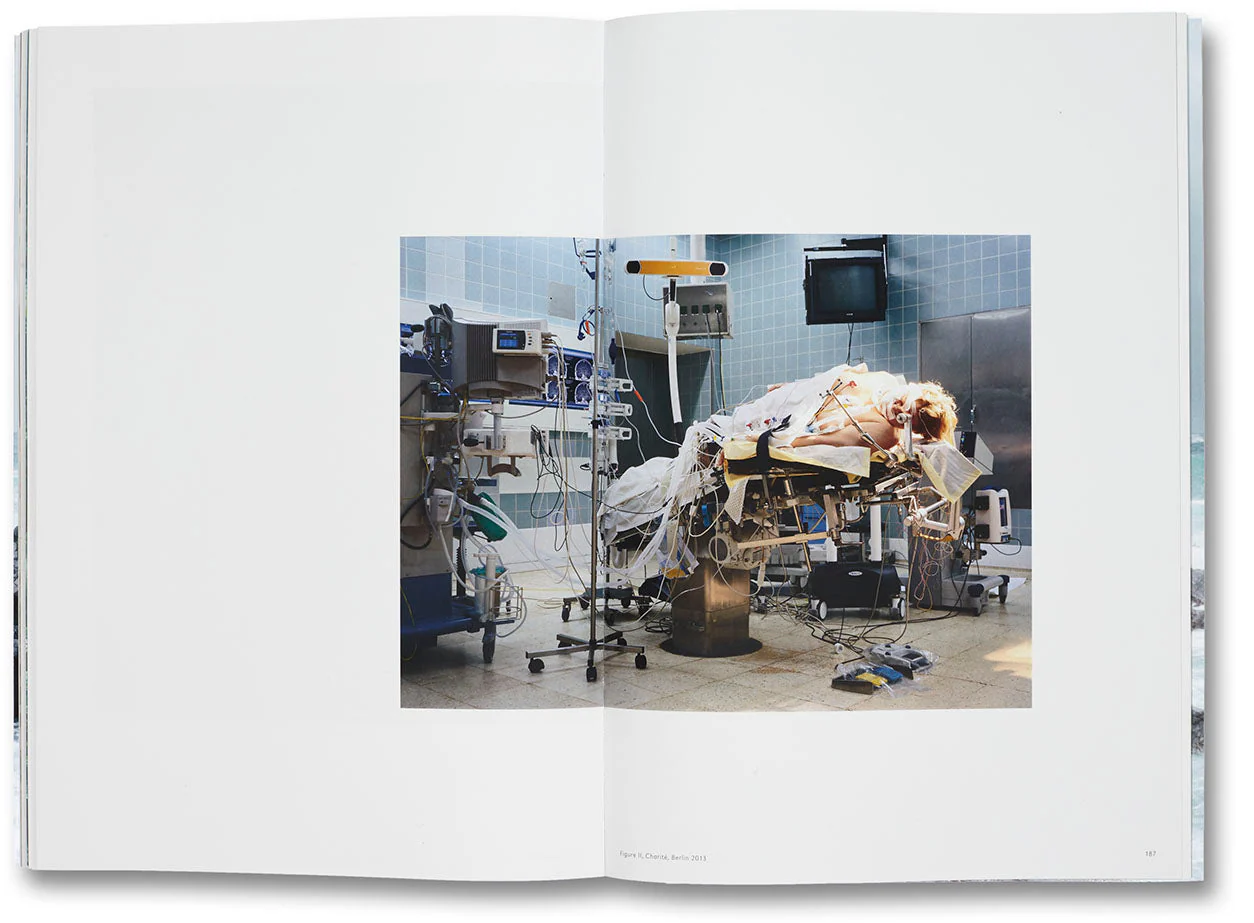 Nature & Politics - Image 36