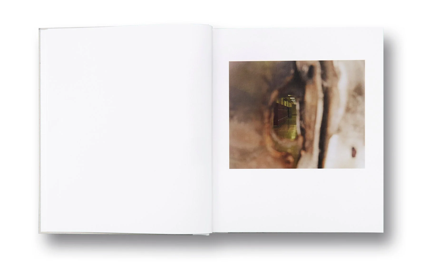 Nausea - Image 5