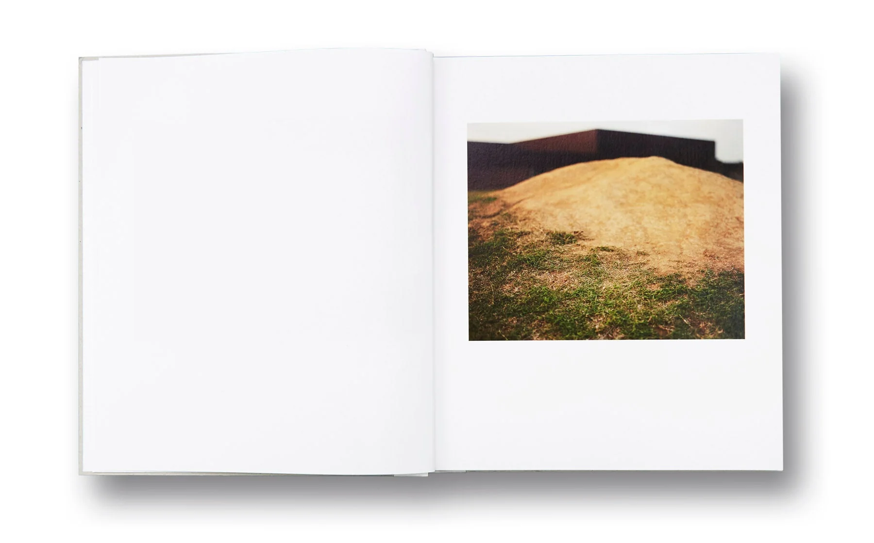 Nausea - Image 6