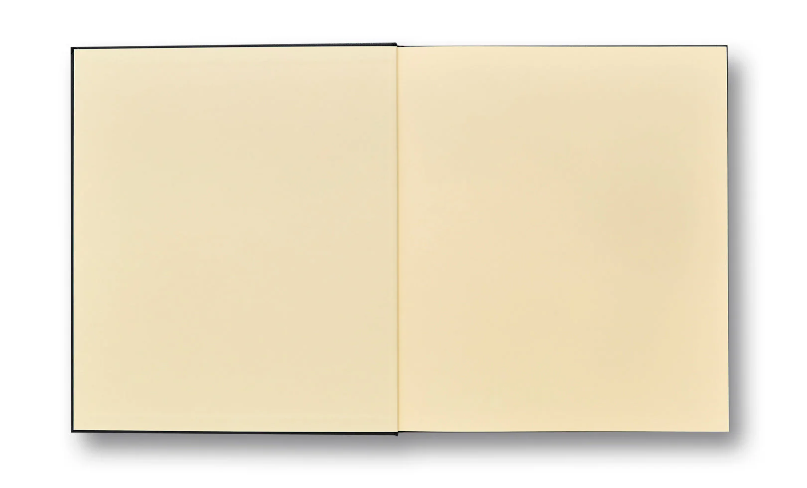 Niagara (First MACK Edition) - Image 3