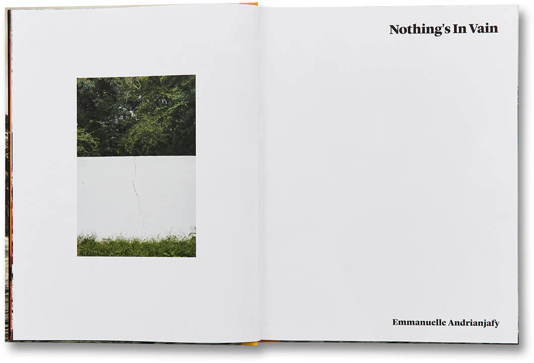 Nothing's in Vain - Image 5