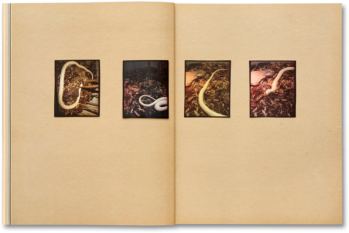 Omaha Sketchbook - Image 10