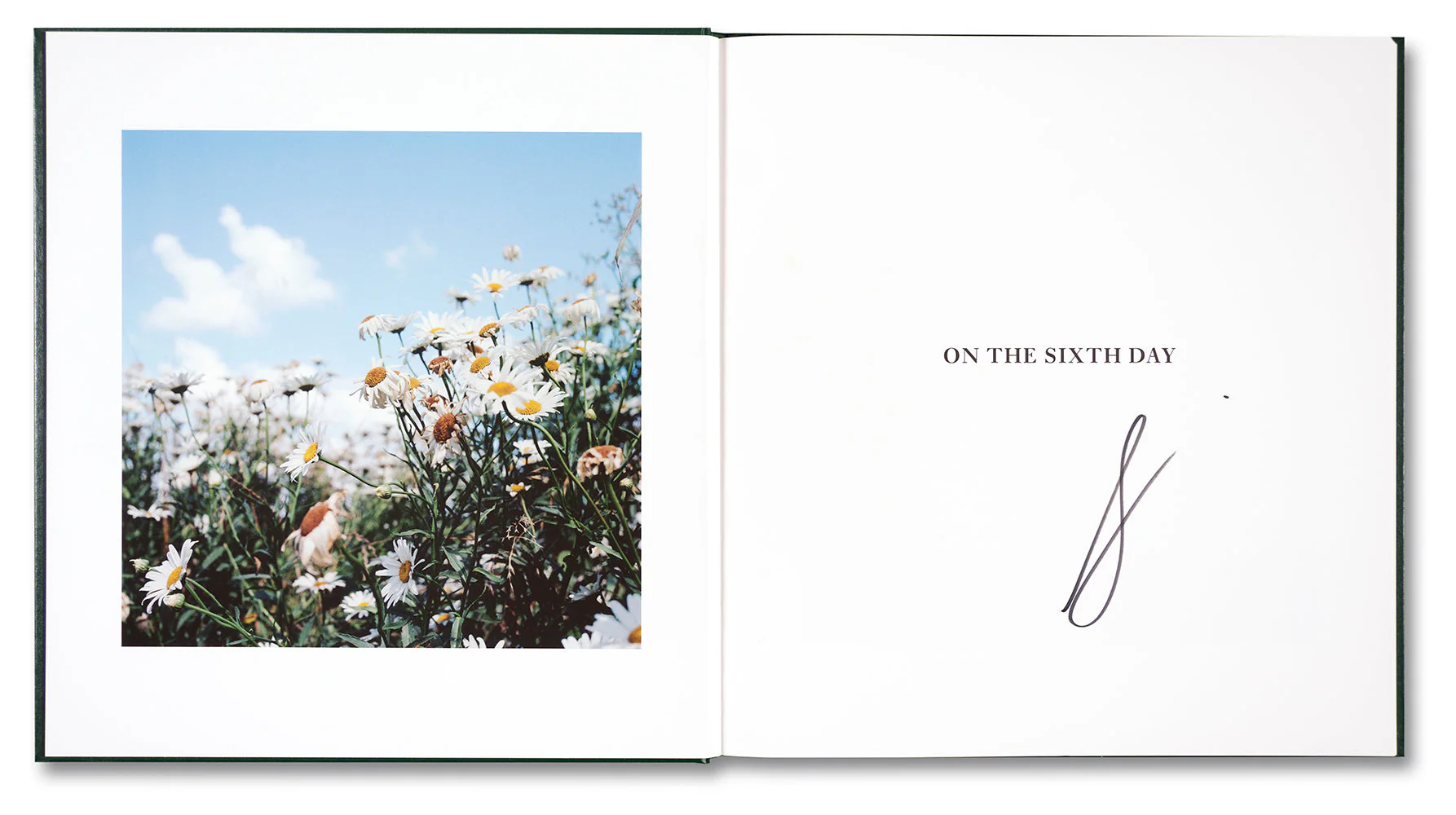 On the Sixth Day - Image 4