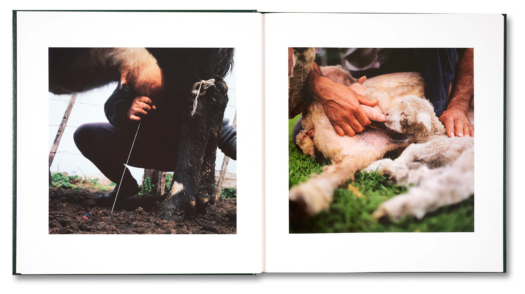 On the Sixth Day - Image 8