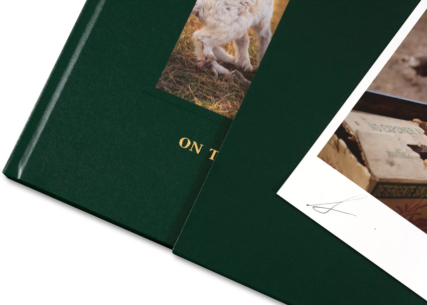 On the Sixth Day Special Edition - Image 11