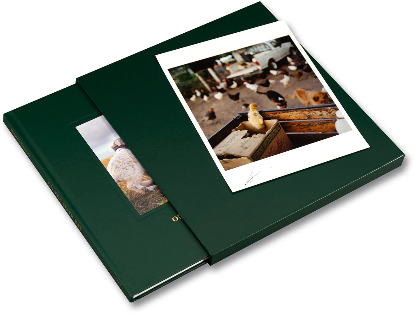 On the Sixth Day Special Edition - Image 13