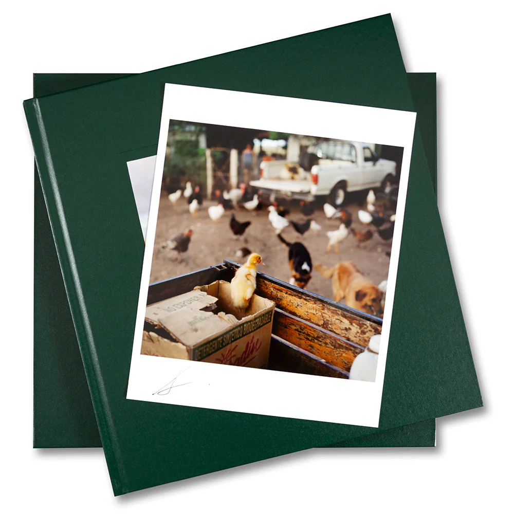 On the Sixth Day Special Edition - Image 14
