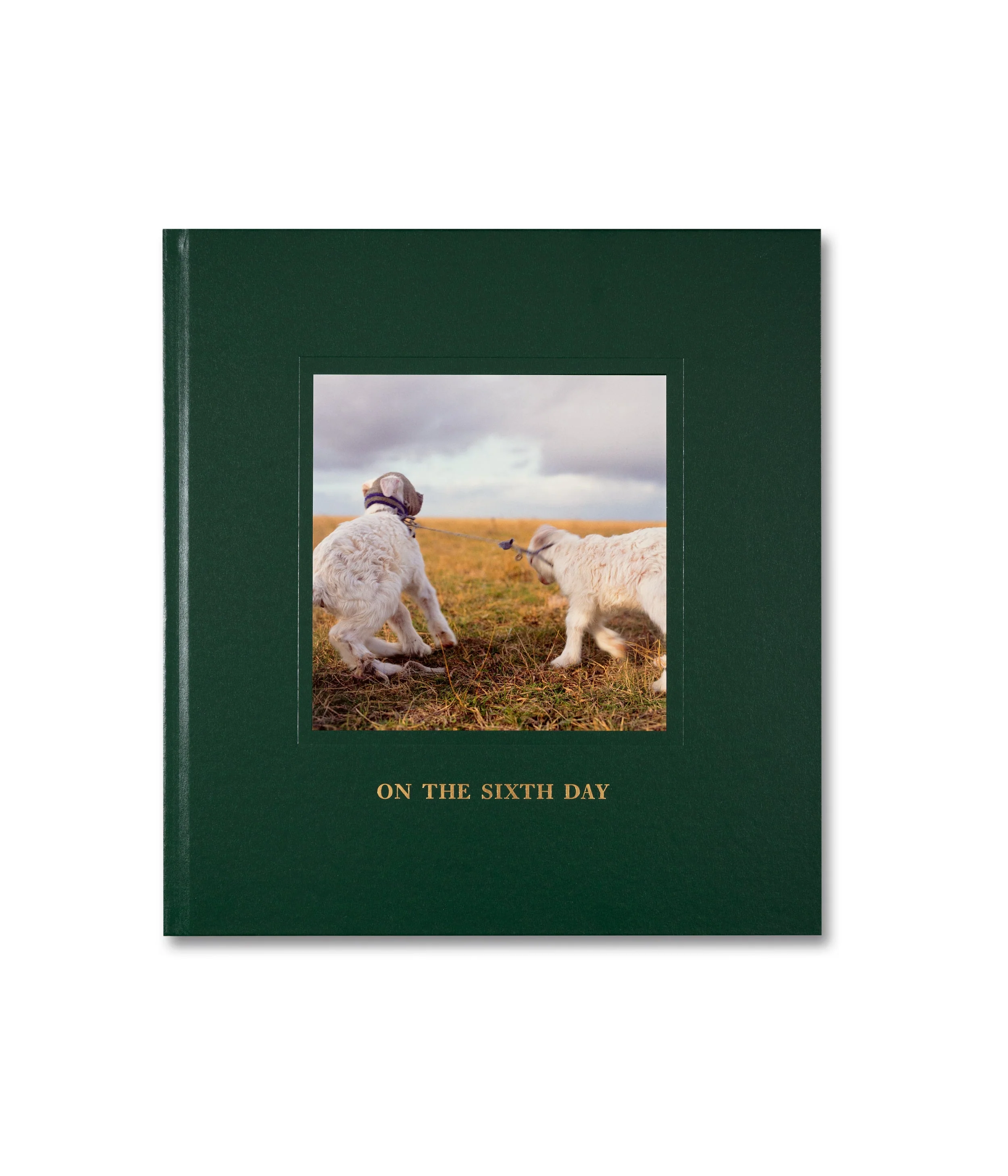 On the Sixth Day Special Edition - Image 16