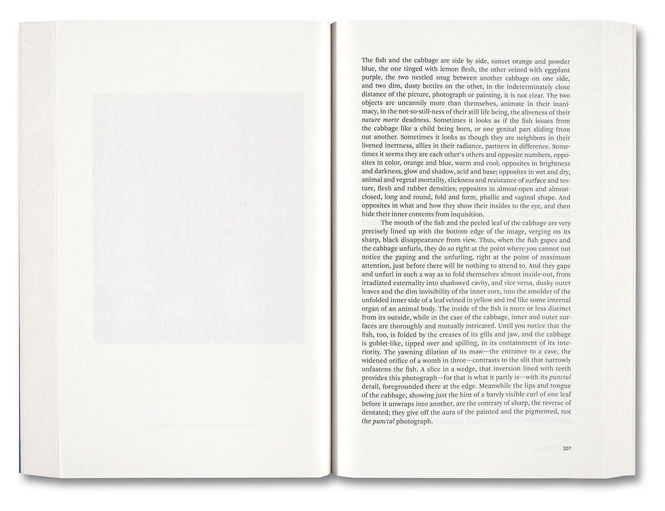Painting Photography Painting: Selected Essays - Image 21