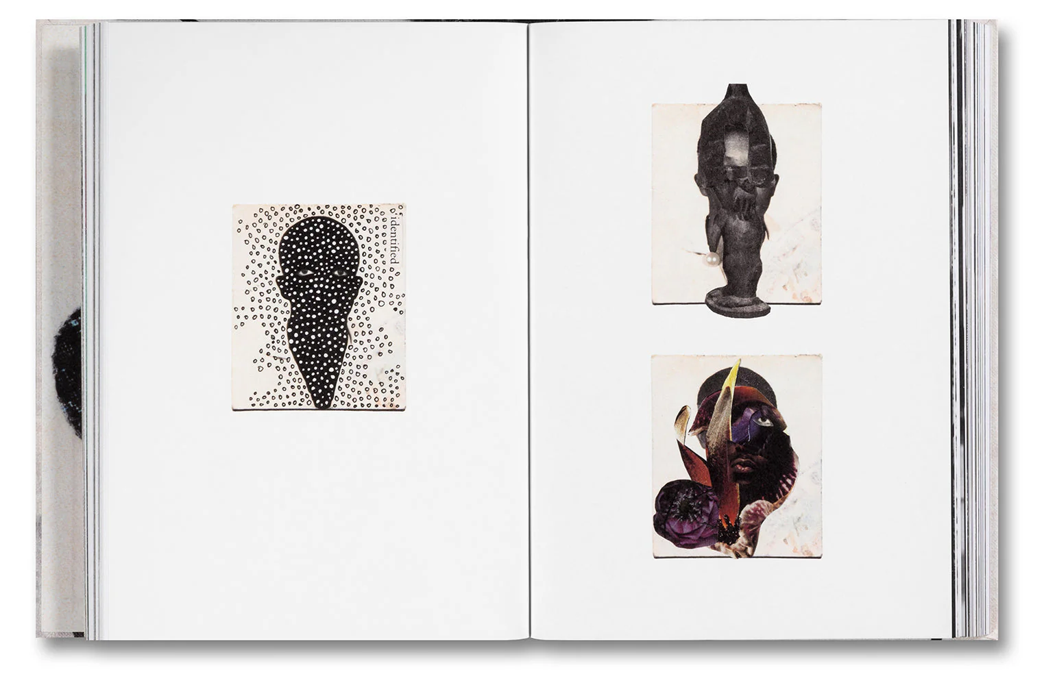Passports - Image 11
