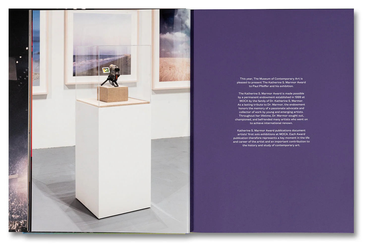 Paul Pfeiffer: Prologue to the Story of the Birth of Freedom - Image 10