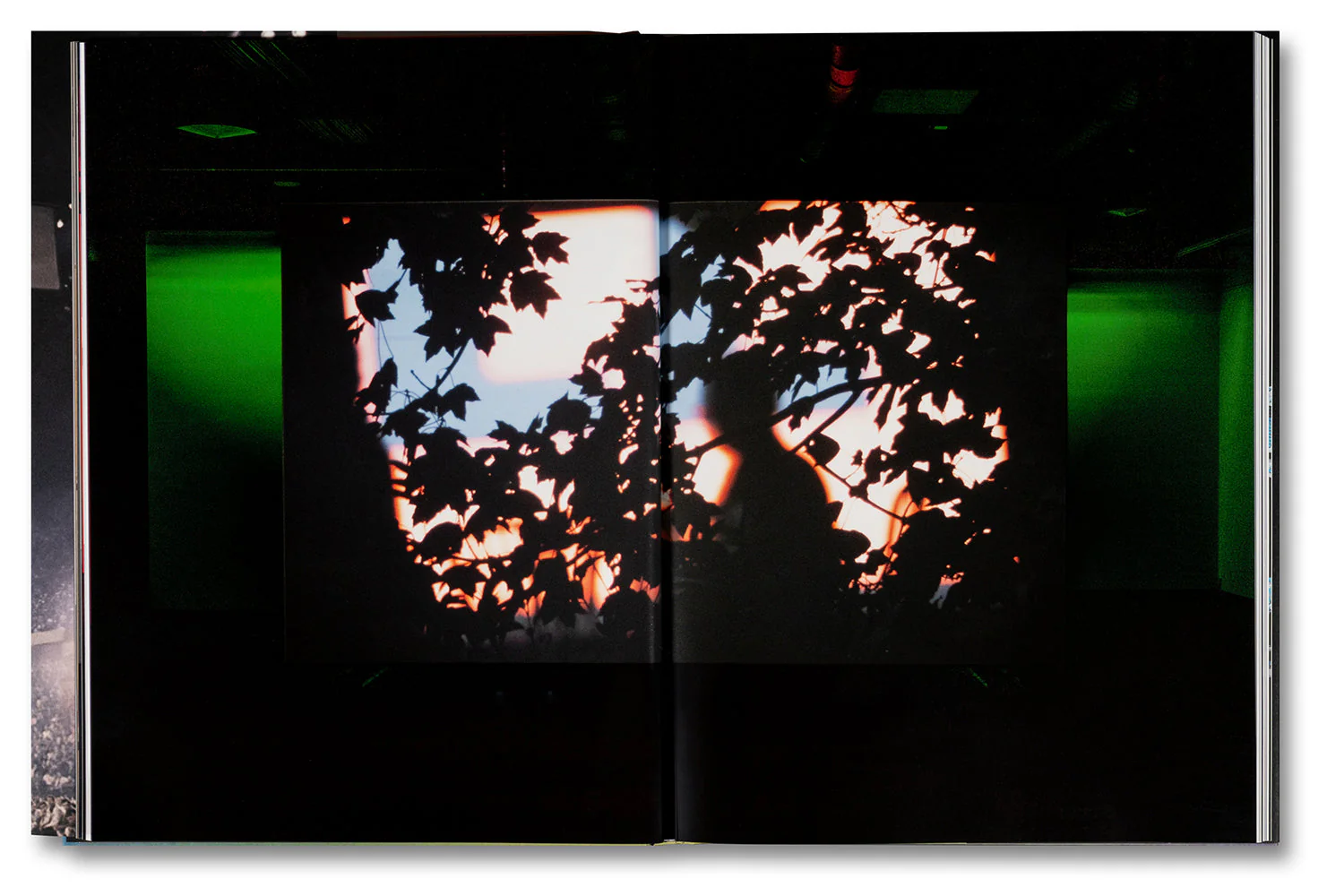 Paul Pfeiffer: Prologue to the Story of the Birth of Freedom - Image 13
