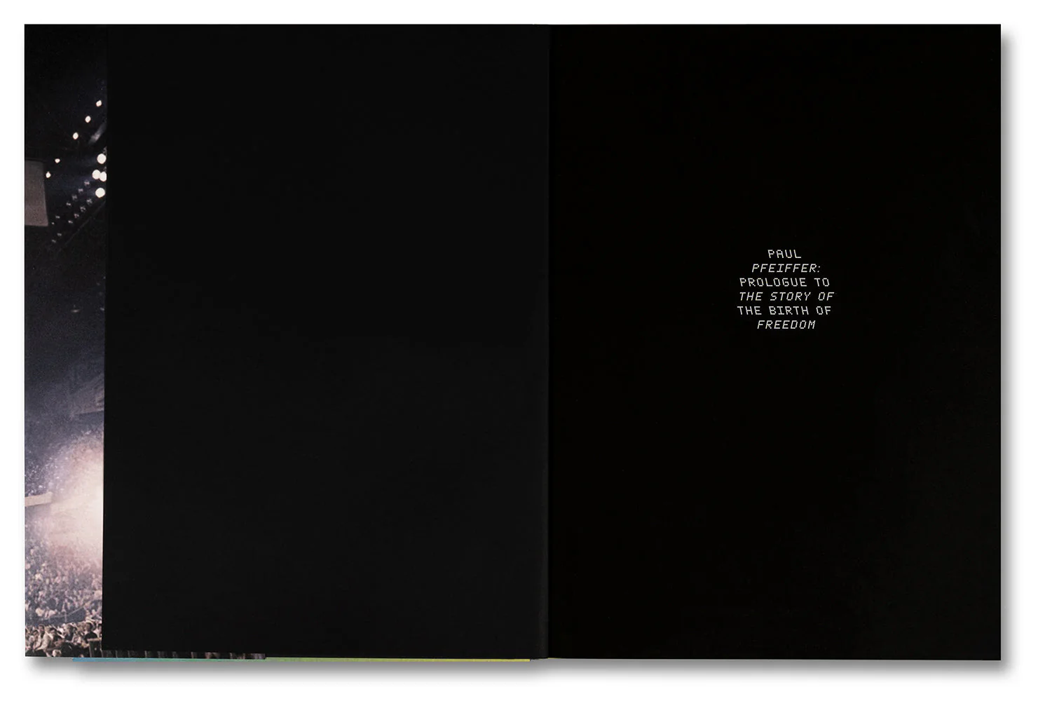 Paul Pfeiffer: Prologue to the Story of the Birth of Freedom - Image 3