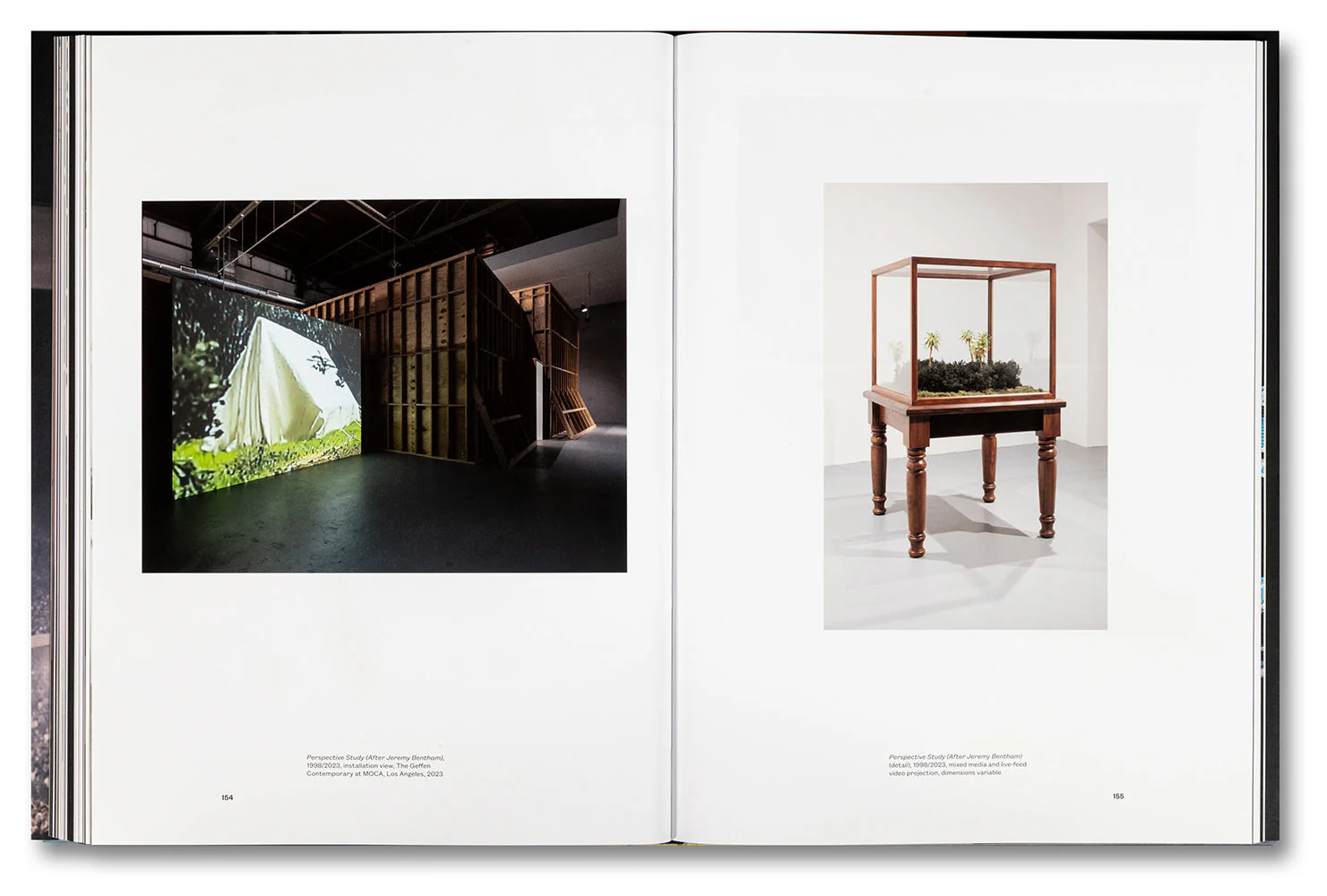 Paul Pfeiffer: Prologue to the Story of the Birth of Freedom - Image 32