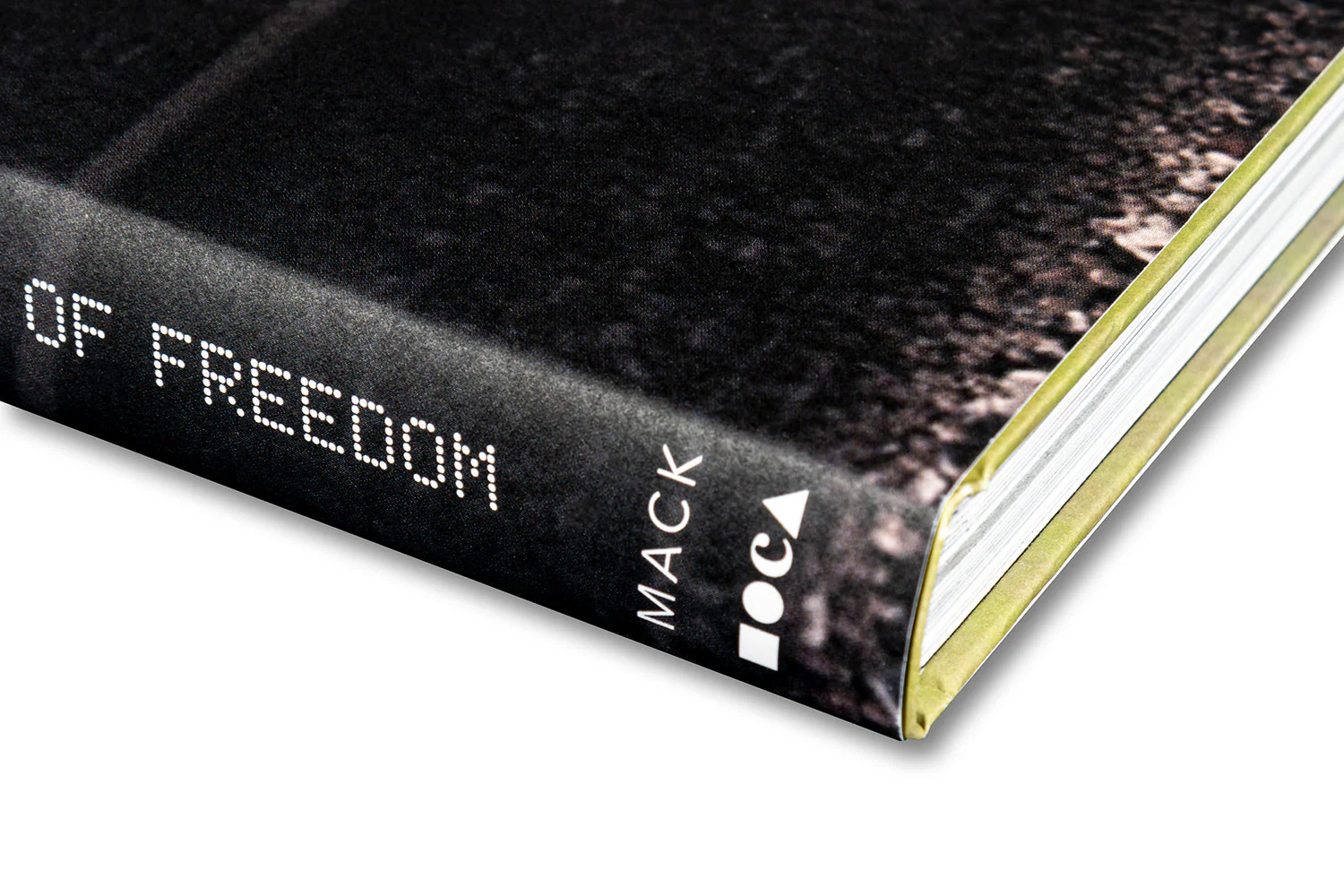 Paul Pfeiffer: Prologue to the Story of the Birth of Freedom - Image 43