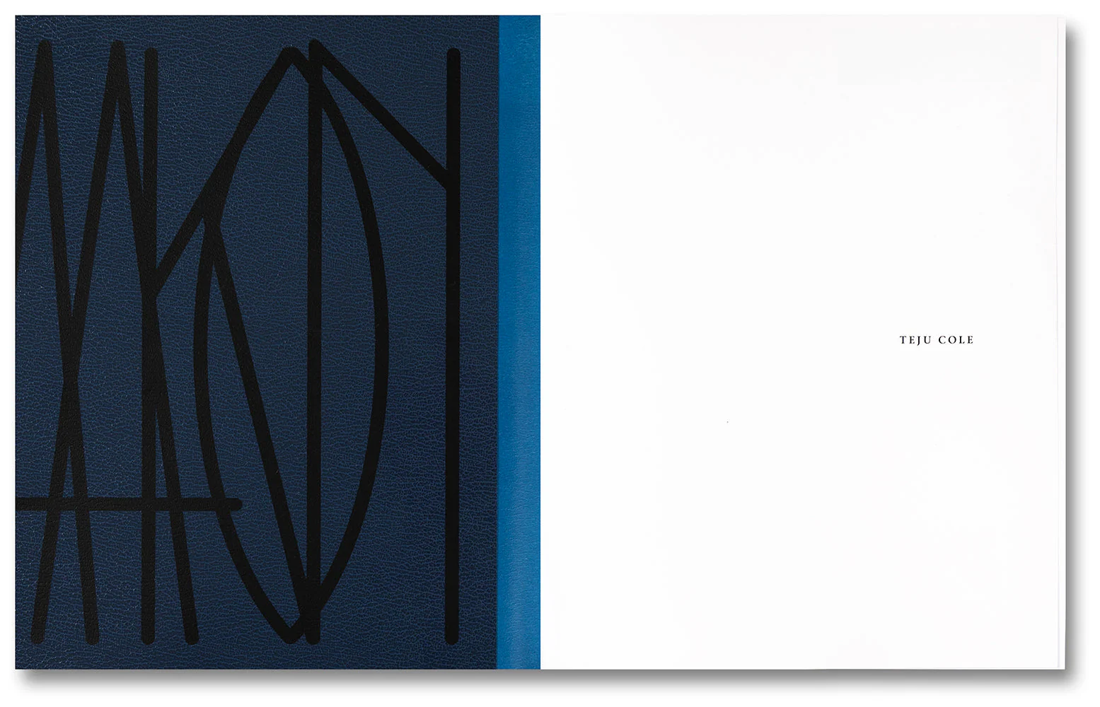 Pharmakon - Image 2