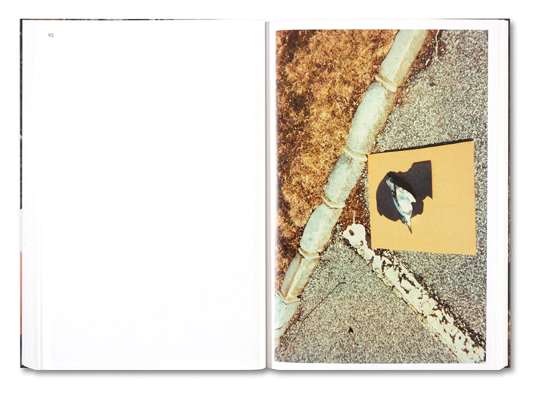PLEASE SEND TO REAL LIFE: Ray Johnson Photographs - Image 11