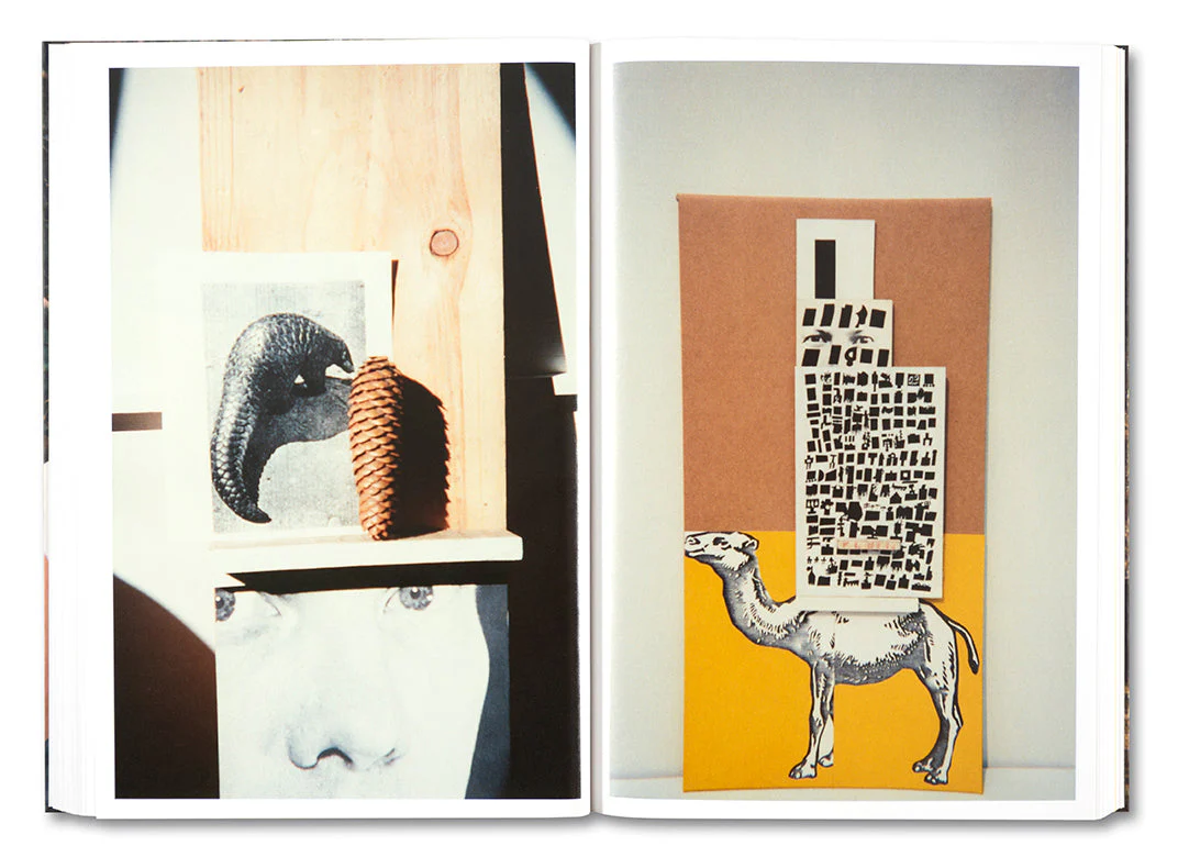 PLEASE SEND TO REAL LIFE: Ray Johnson Photographs - Image 12