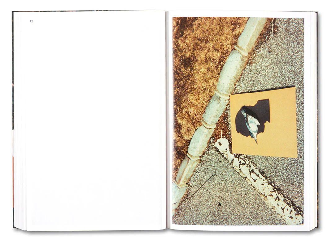 PLEASE SEND TO REAL LIFE: Ray Johnson Photographs - Image 15