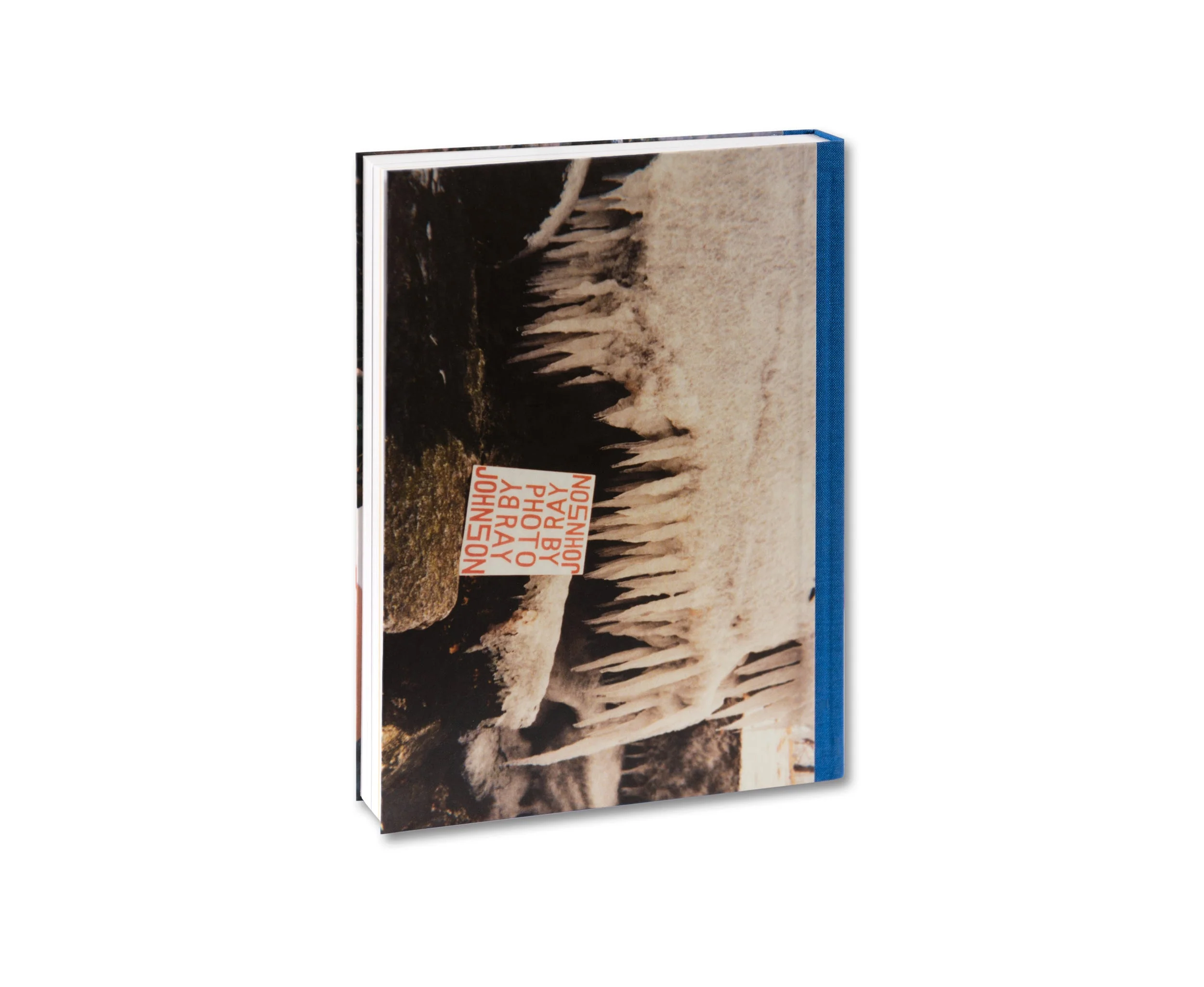 PLEASE SEND TO REAL LIFE: Ray Johnson Photographs - Image 31