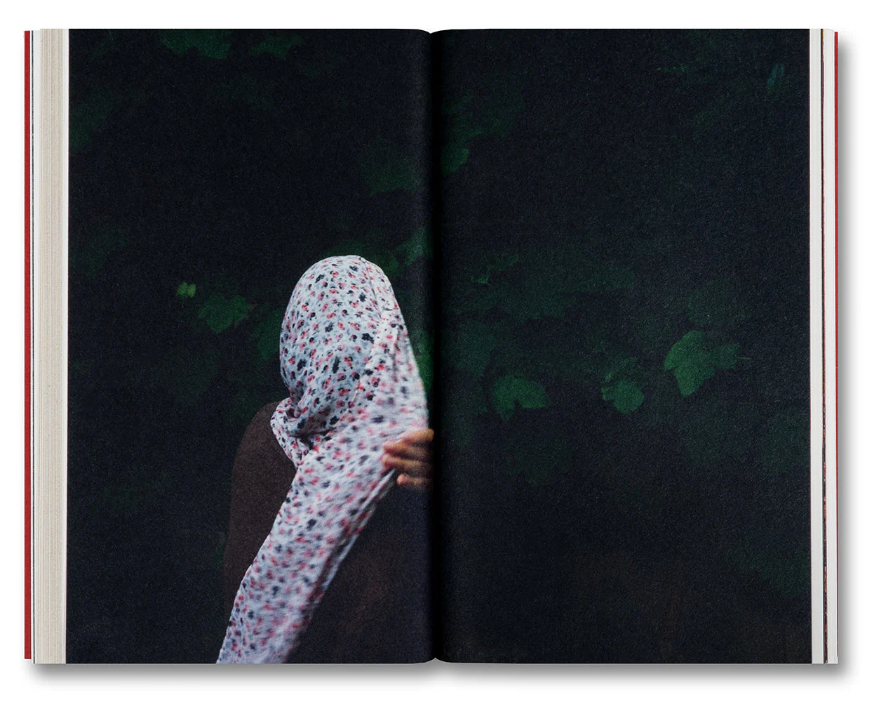 Pleasure Gardens: Blackouts and the Logic of Crisis in Kashmir - Image 11