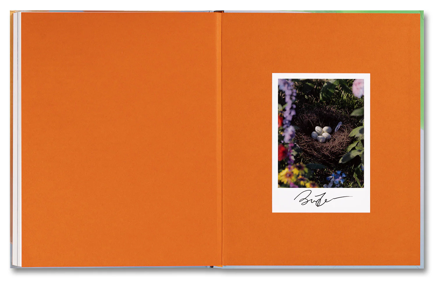 Positive Illusions - Image 31