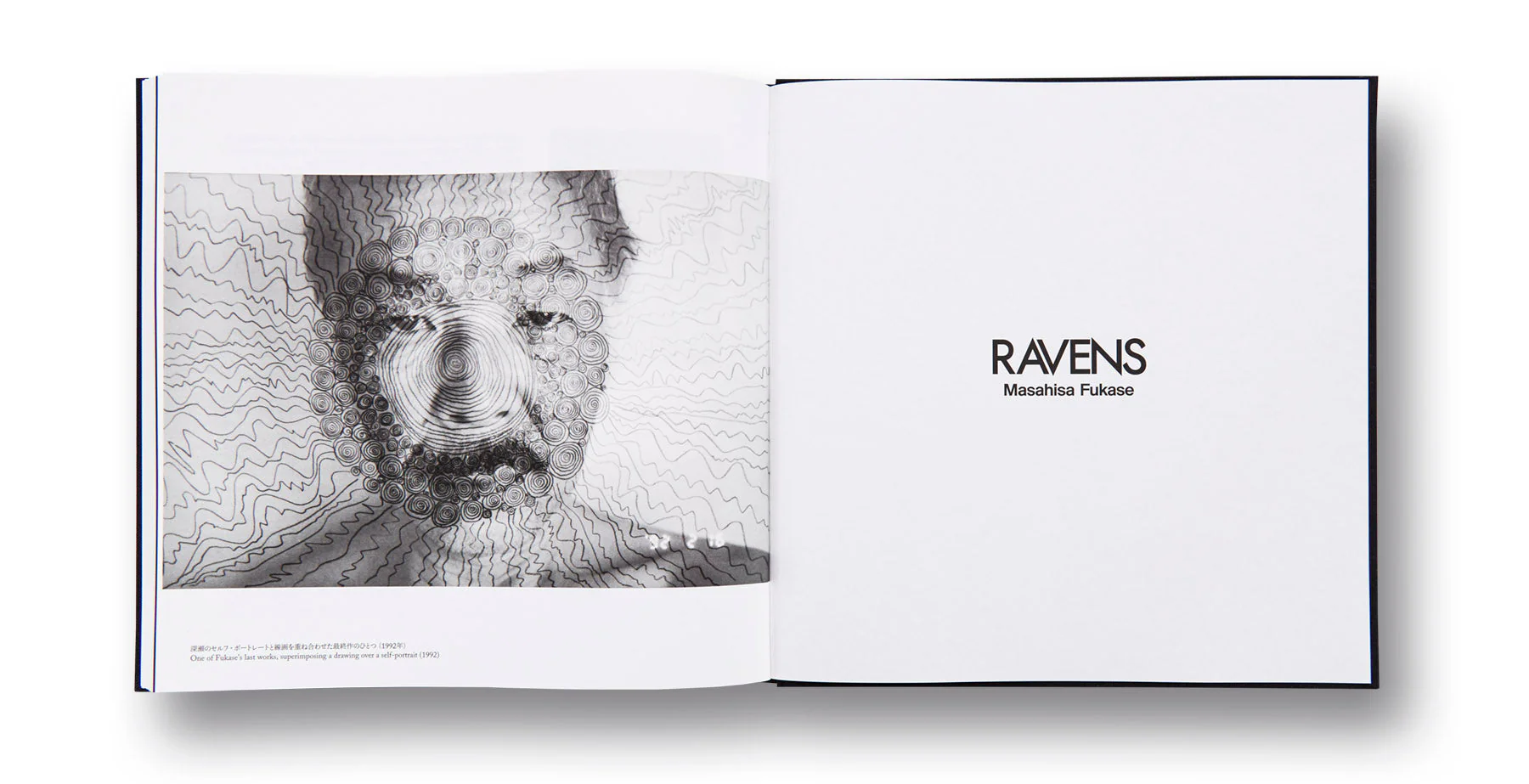 Ravens - Image 22