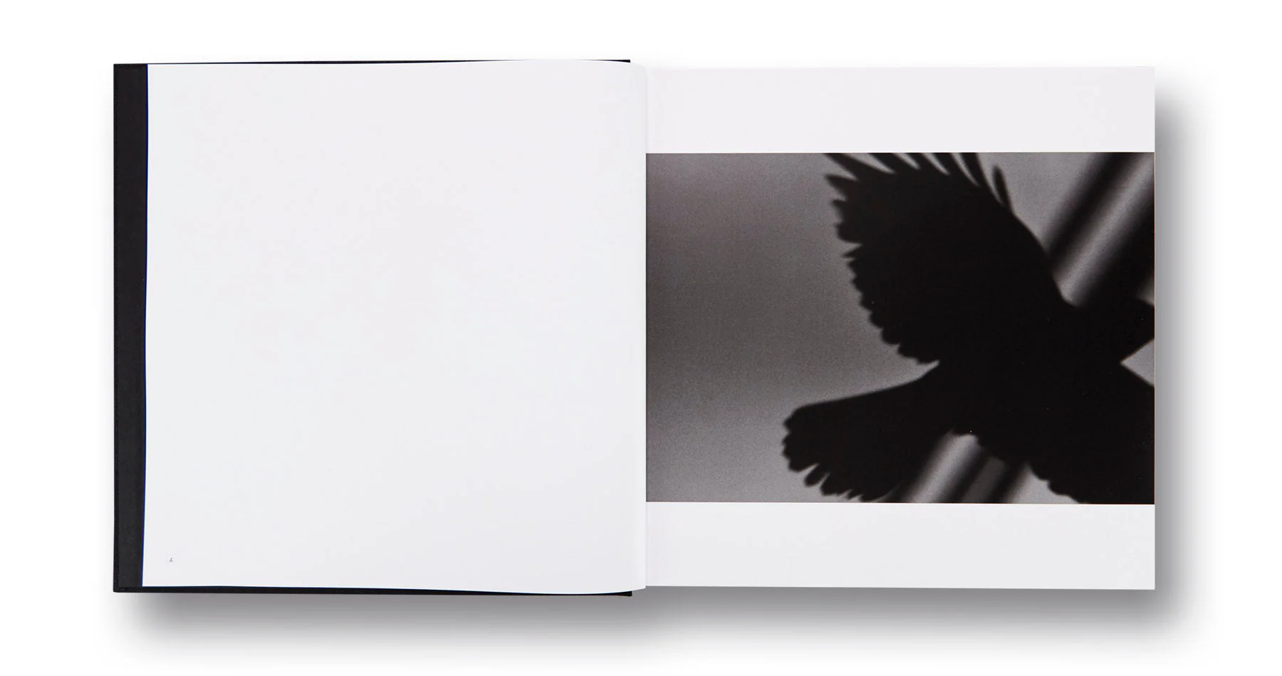 Ravens - Image 4